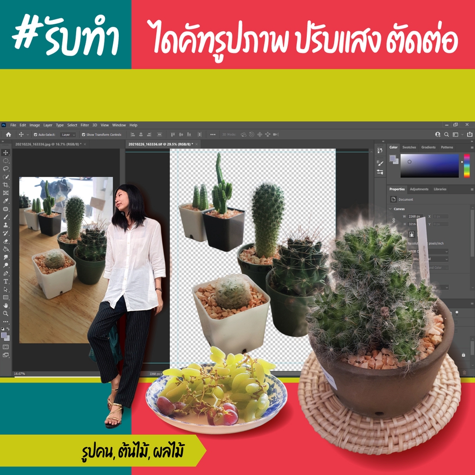 ไดคัท & Photoshop - Cut out ภาพนิ่ง หลังใส หรือเปลี่ยน ใส่ภาพอื่น แต่งภาพ รีทัส - 5