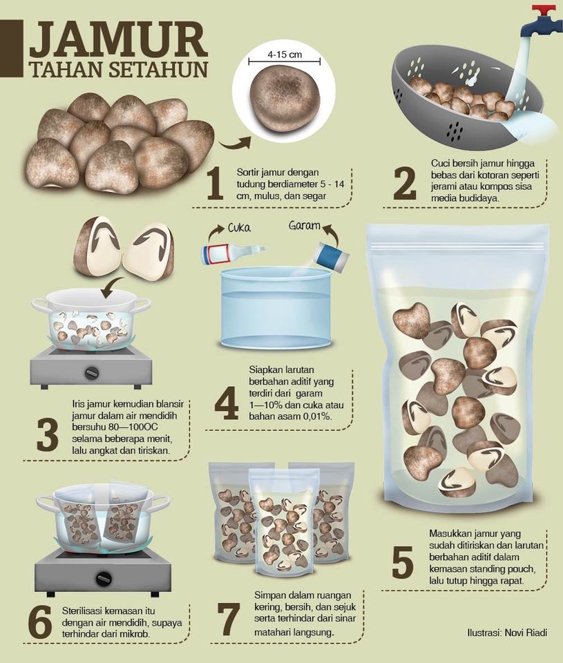 Infografis langkah demi langkah tentang cara mengawetkan jamur dengan benar untuk jangka waktu yang lama. Gunakan infografis ini untuk belajar cara menyimpan jamur untuk jangka waktu lebih lama,  ideal untuk meningkatkan usaha rumahan Anda dan menjadi sumber referensi.