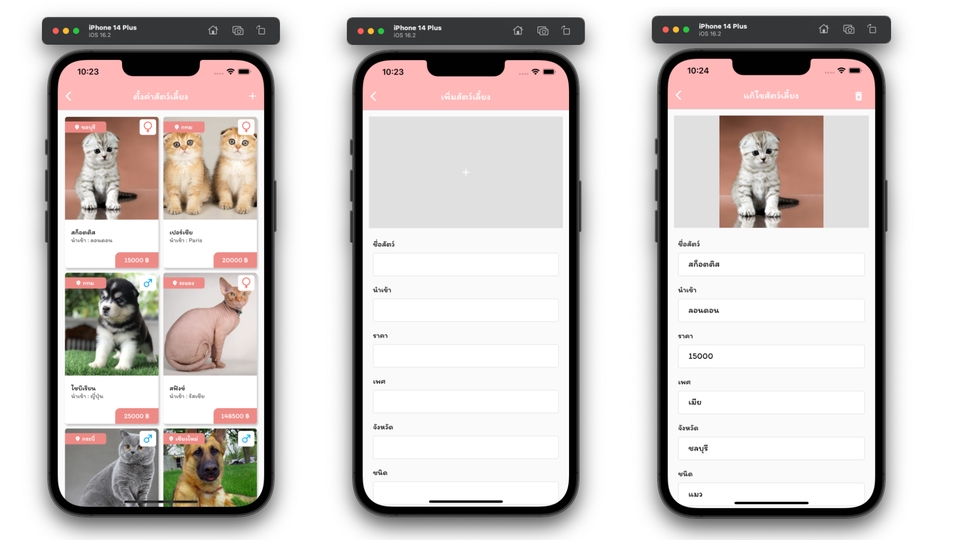 Mobile Application - Flutter - 15