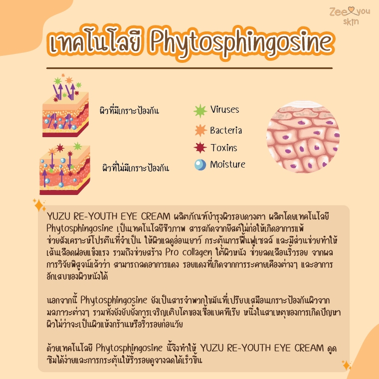 Banner โฆษณา - งานกราฟฟิก - 8