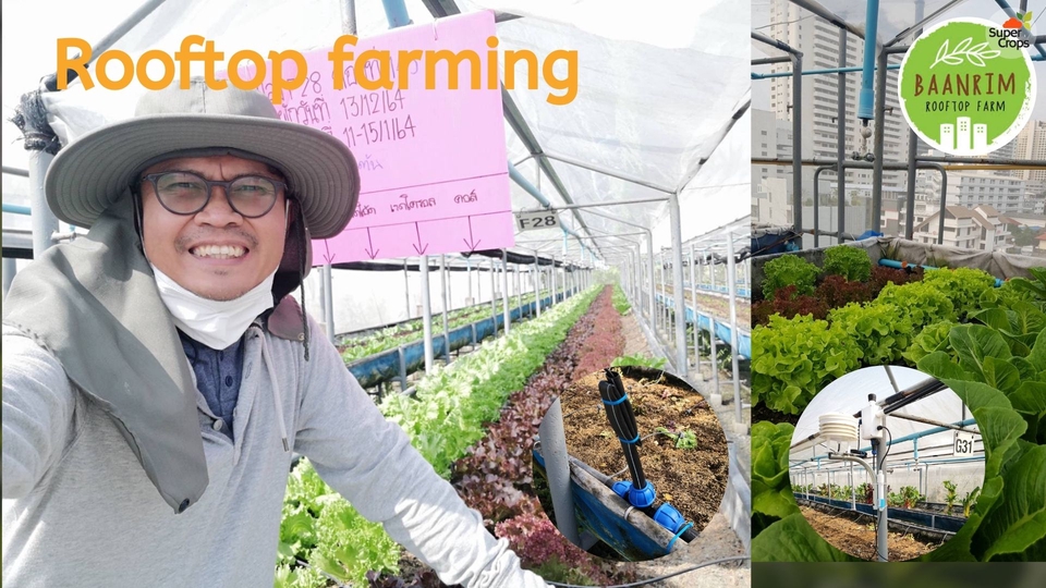 รับทำระบบ IoT รับออกแบบระบบ IoT รับเขียนโปรแกรม iot บนระบบควบคุมอัตโนมัติการปลูกผักบนดาดฟ้า