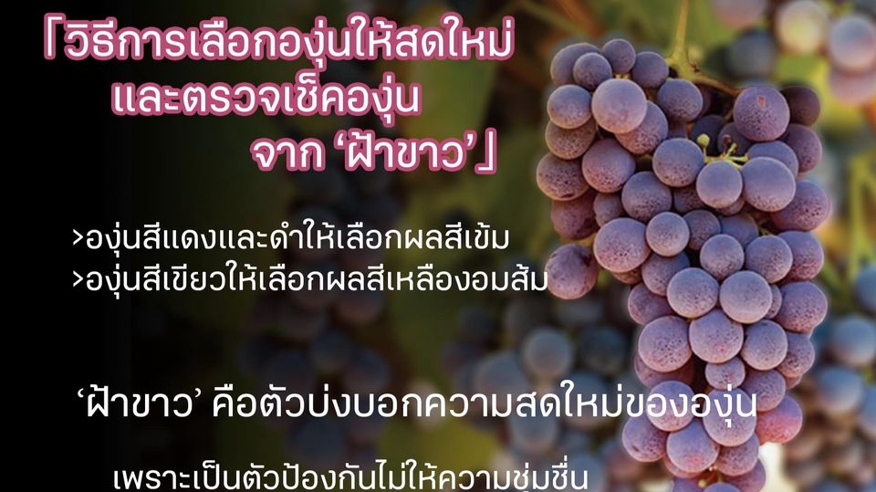 Infographics - ออกแบบ/จัดวาง ภาพโฆษณาสื่อออนไลน์/Infographic อ่านสบายตา - 1