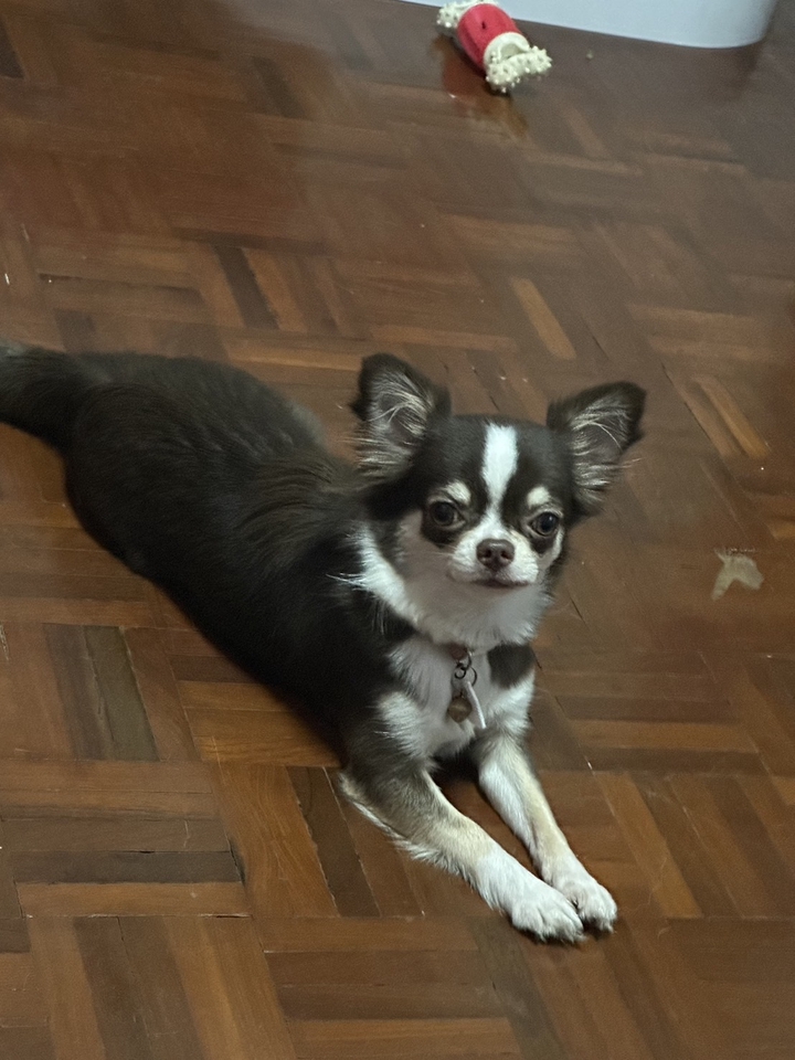 นางแบบมือ นางแบบมือสวย นางแบบมือ ราคา หานางแบบ นางแบบเสื้อผ้า หานางแบบเสื้อผ้า นางแบบเสื้อผ้าแฟชั่น