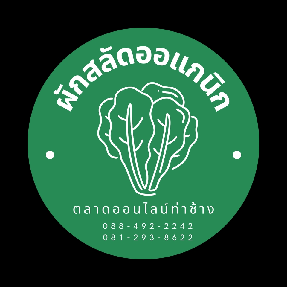 Logo - รับออกแบบโลโก้ตามรูปแบบต่างๆ สวยๆเท่ๆ ราคาถูก - 15