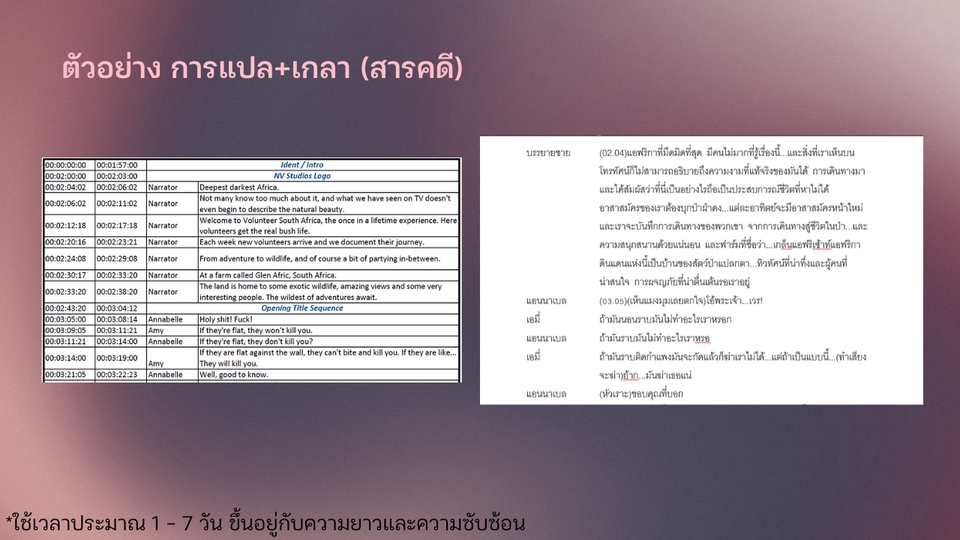 แปลภาษา - แปล บทพากย์ - 4