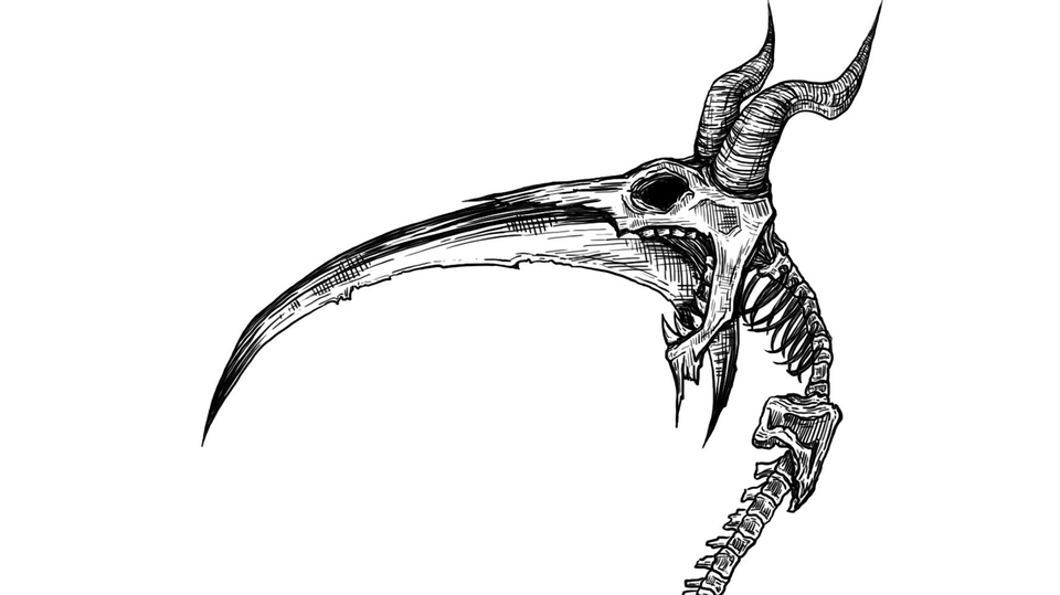 ออกแบบลายสัก มินิมอล กระดูก ศีรษะ นก ออกแบบ tattoo