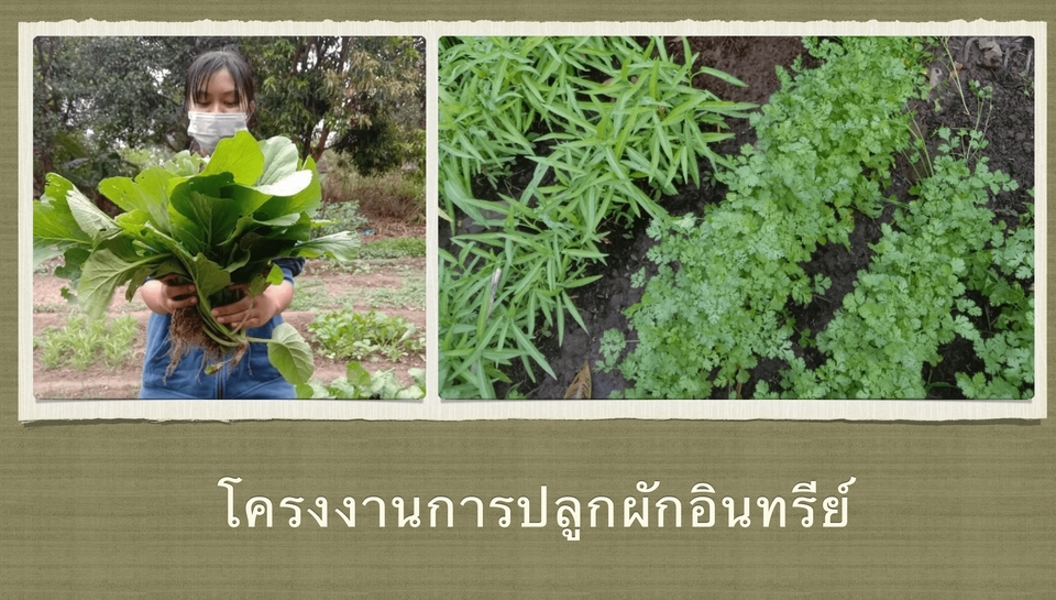 Presentation - Presentation ตามสไตล์ | เข้าใจง่าย | ไม่น่าเบื่อ | - 4