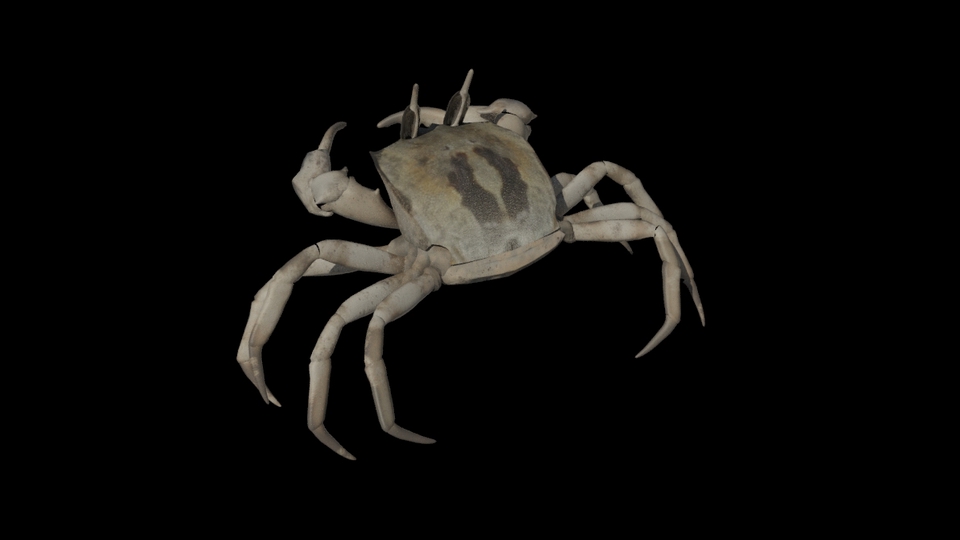 รับทำโมเดล 3d สินค้า 3 มิติ 3d packshot