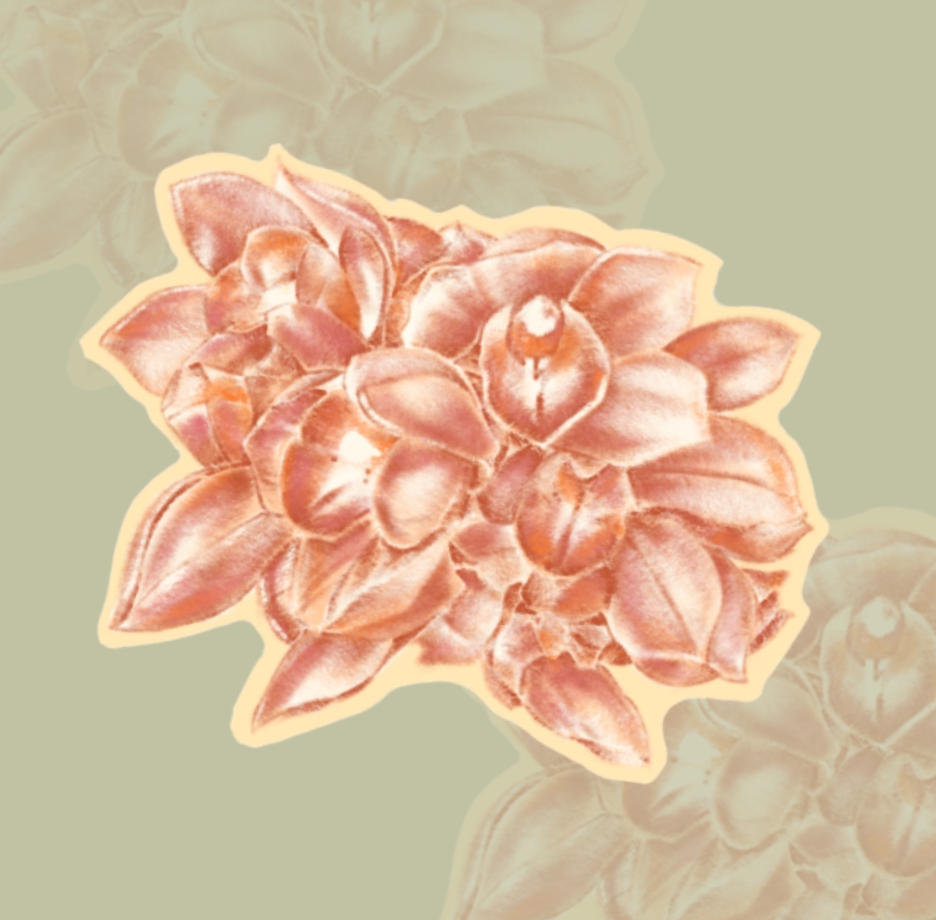 วาดภาพประกอบ - รับวาดภาพประกอบหลากหลายแนว ตามใจคุณลูกค้าเลยงับ - 8
