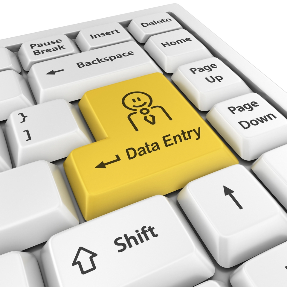 Entri Data - Data Entry/Entry Data, Internet research, Data mining,Copy Data - 4