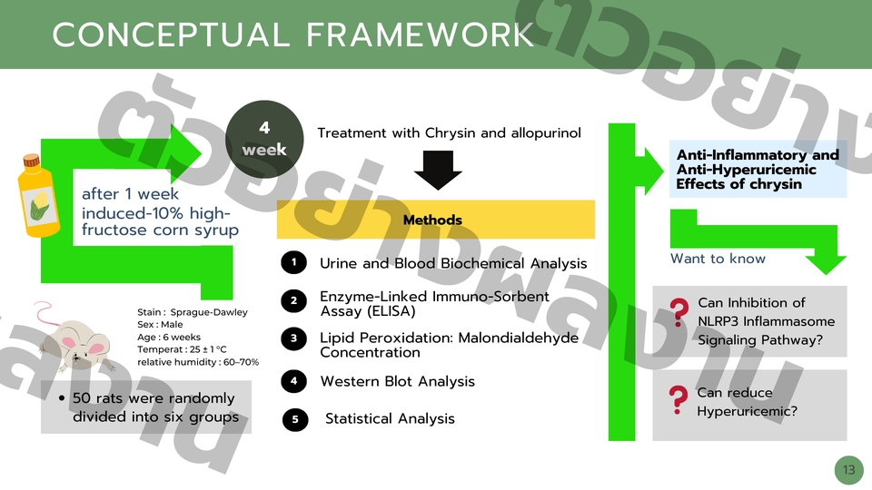 Presentation - งานออกแบบจัดทำ presentation - 8