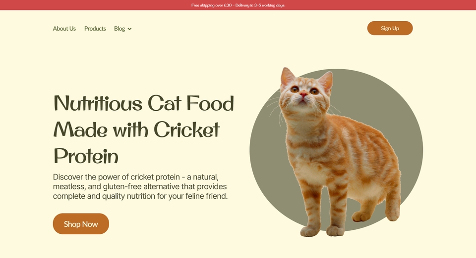 UX/UI Design for Web & App - รับออกแบบ UX/UI, Redsign สำหรับเว็บไซต์และแอปพลิเคชัน - 4