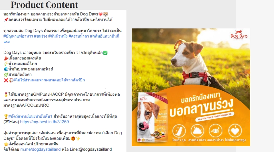 Creative & Content Marketing - Value Content & Copywriting - 6