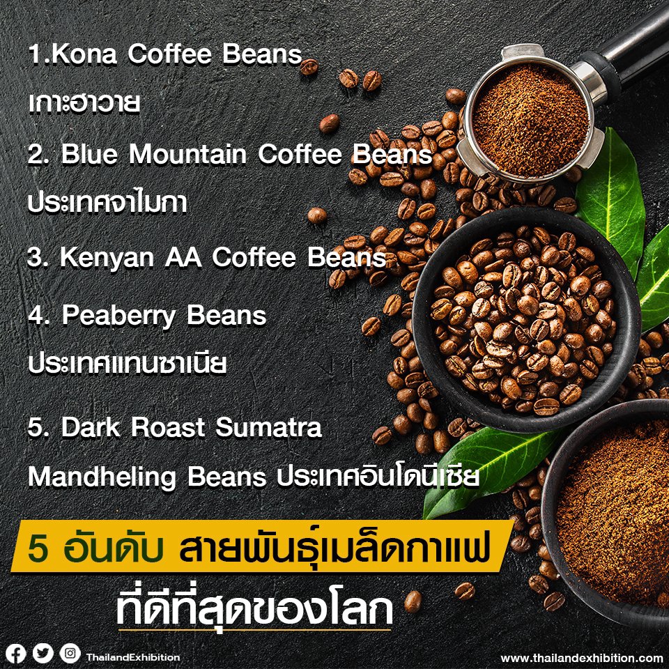 Creative & Content Marketing - สร้างคอนเทนต์เพื่อการขายทุกแพลตฟอร์ม - 4