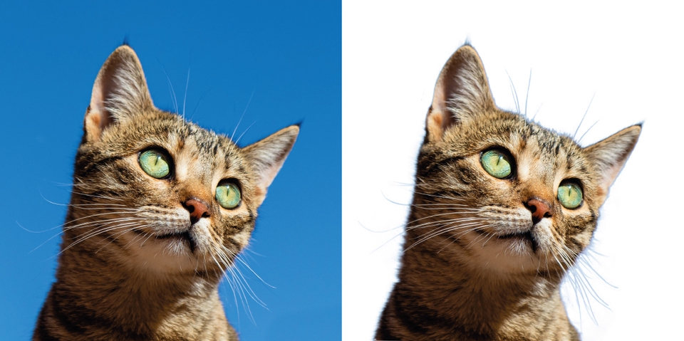 ไดคัท & Photoshop - รับทำไดคัทรูปภาพ - 3