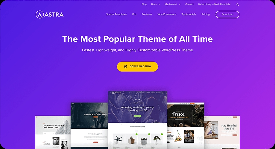 Jasa Pembuatan Website WordPress - Tema Astra, template website populer yang cepat, ringan dan mudah dikustomisasi.