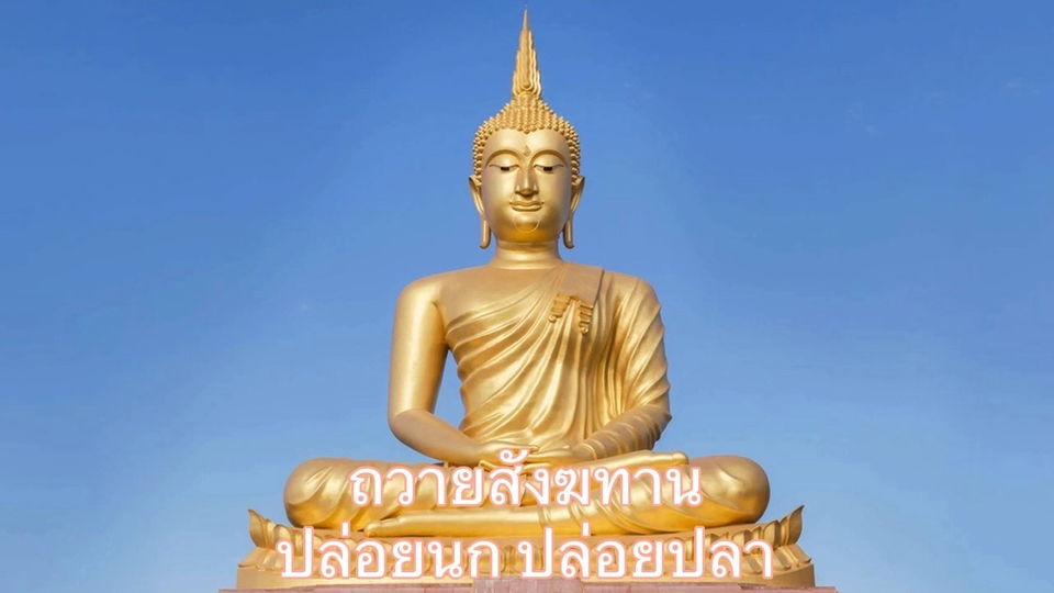 รับจ้างทำบุญ - ฝากทำบุญ ถวายสังฆทาน เป็นสะพานบุญ ปล่อยนก ปล่อยปลา ตามความประสงค์ของท่าน - 1
