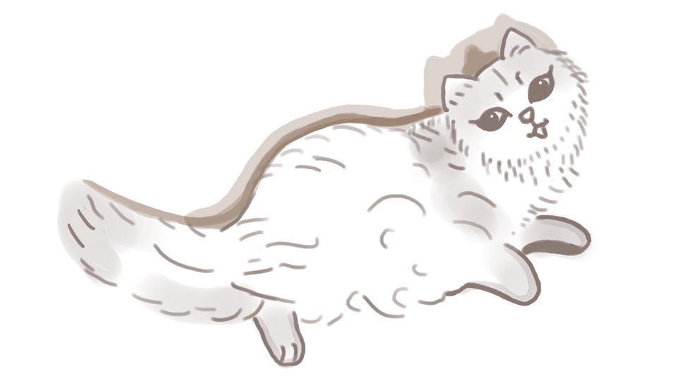 วาดภาพการ์ตูน - รับวาดรูปสัตว์เลี้ยงลายเส้นมินิมอล แนวการ์ตูนน่ารัก - 1