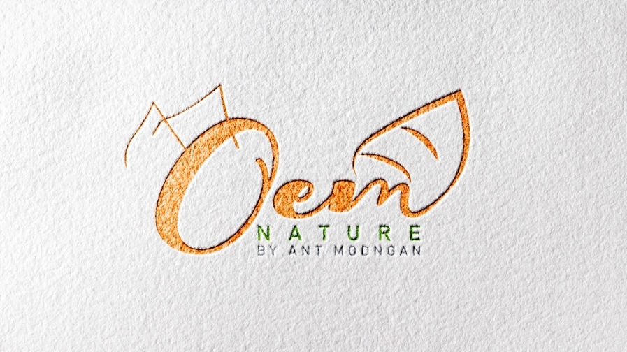 Logo - ออกแบบโลโก้แบรนด์ โลโก้องค์กรและบริษัท - 4