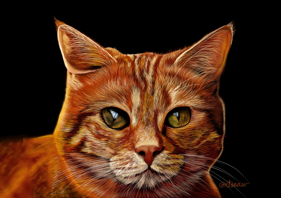 Gambar dan Ilustrasi - Ilustrasi hewan peliharaan Anda menjadi gambar super realistis - 5