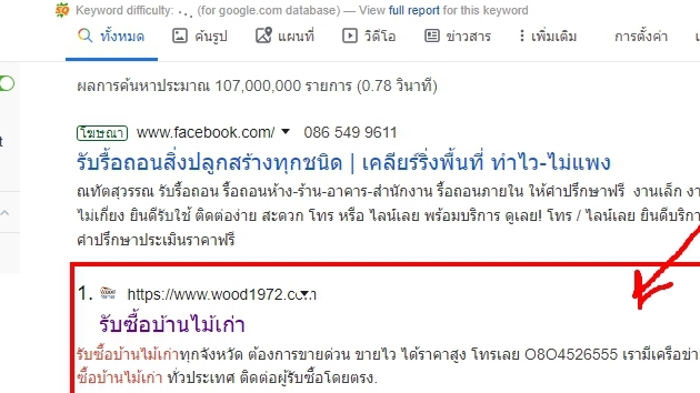 Google ads & Youtube ads - รับโฆษณาเว็บให้ติดตลาด Google เจาะตลาดไทย เทคนิค SEO - 2