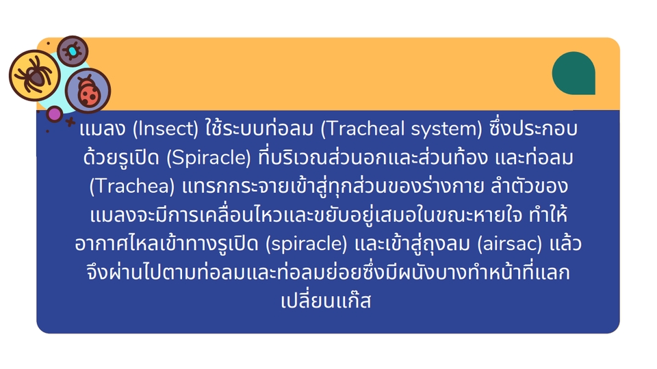 Presentation - ออกแบบสื่อนำเสนอรายงานต่างๆ - 17