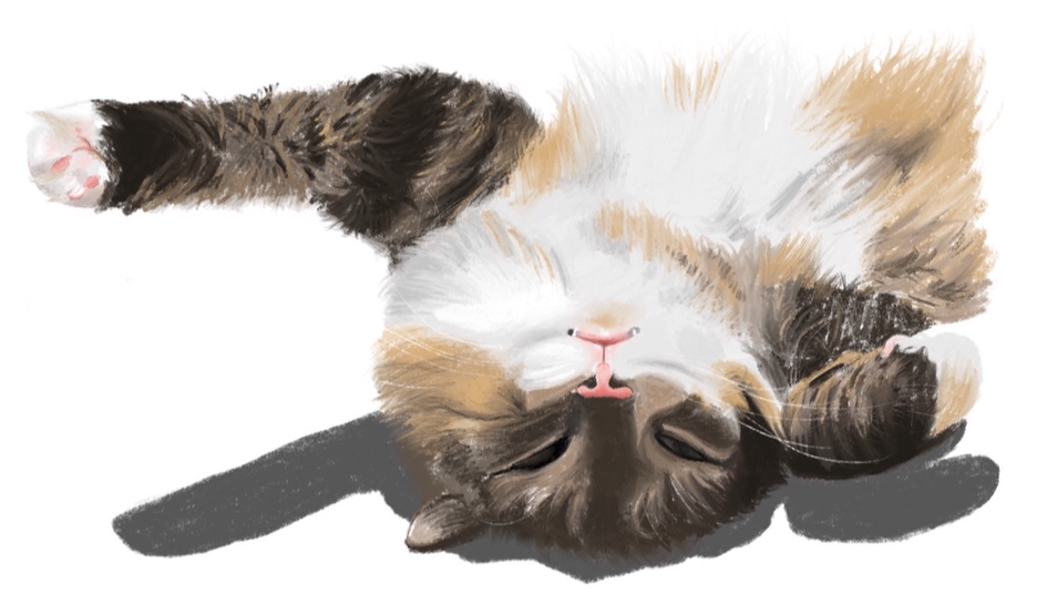 วาดภาพประกอบ - รับวาดภาพประกอบ คน, สัตว์, อาหาร, สิ่งของ - 1