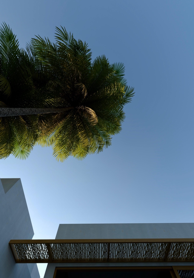 3D & Perspektif - PHOTOREALISTIC RENDER EXTERIOR - 9