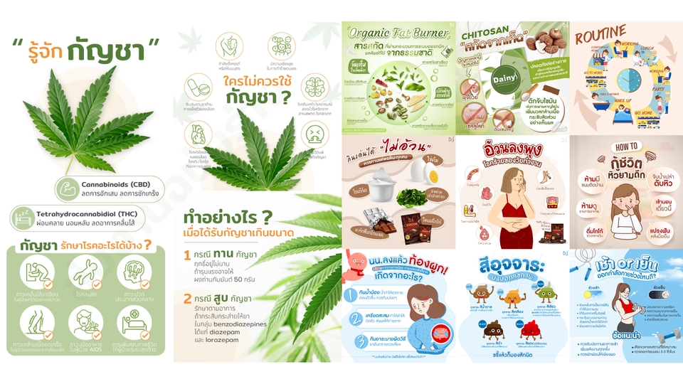 Infographics - Infographic โดนใจ คุยง่าย ราคามิตรภาพ - 8