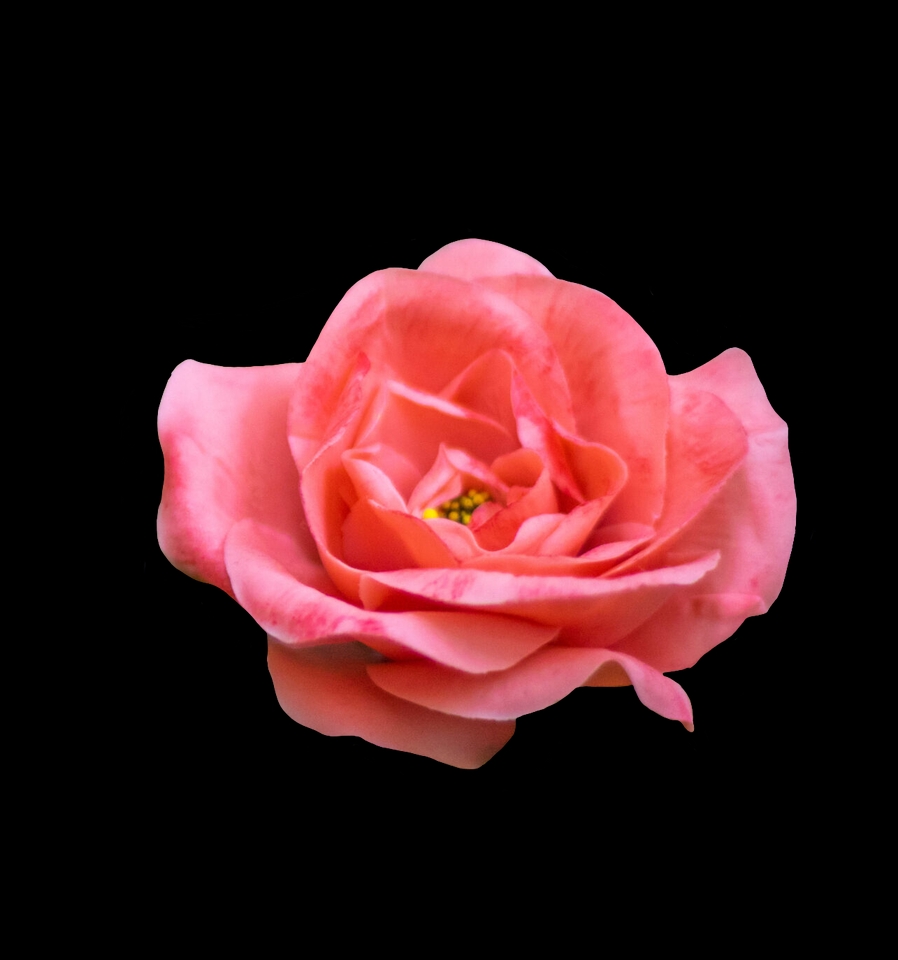 ไดคัท & Photoshop - รับไดคัทหรือแต่งรูปจ้า - 13