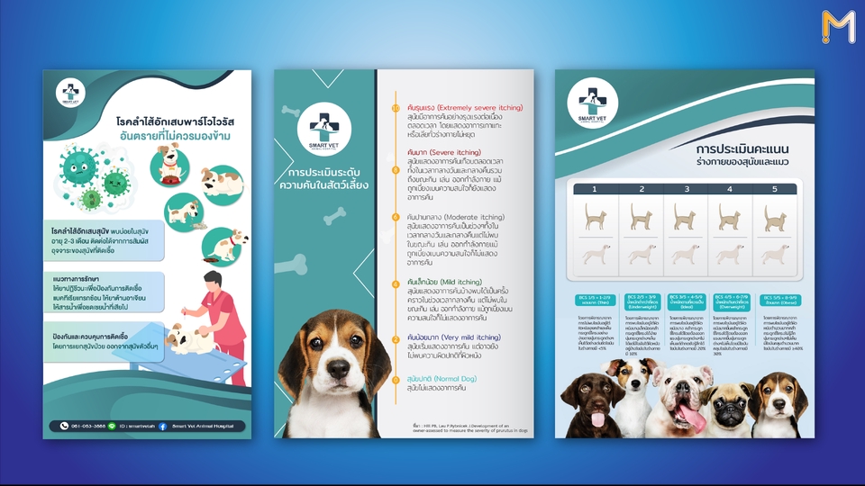Infographics - บริการออกแบบ infographics ตอบโจทย์ลลูกค้า - 6