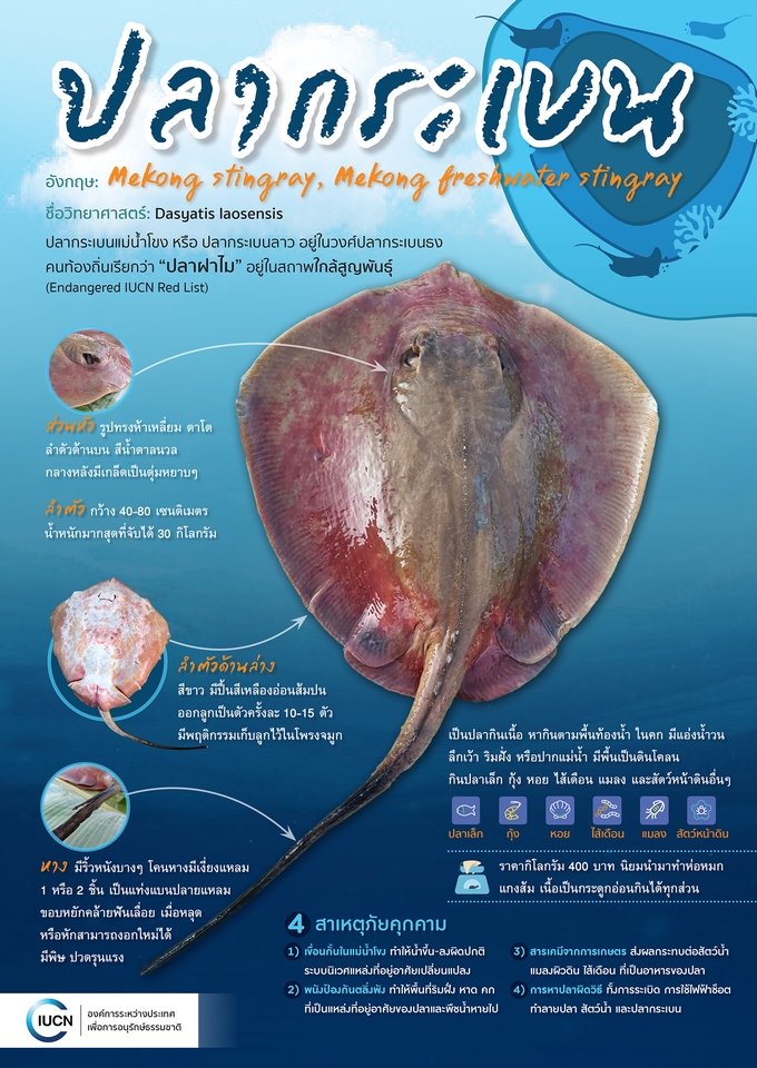 สื่อสิ่งพิมพ์และนามบัตร - ออกแบบโปสเตอร์ โบรชัวร์ ออกแบบเมนู ออกแบบป้ายโฆษณา - 5