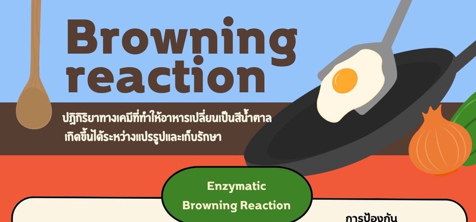 รับทำ infographic อธิบายเรื่องปฏิกิริยาสีน้ำตาล หรือ Browning Reaction