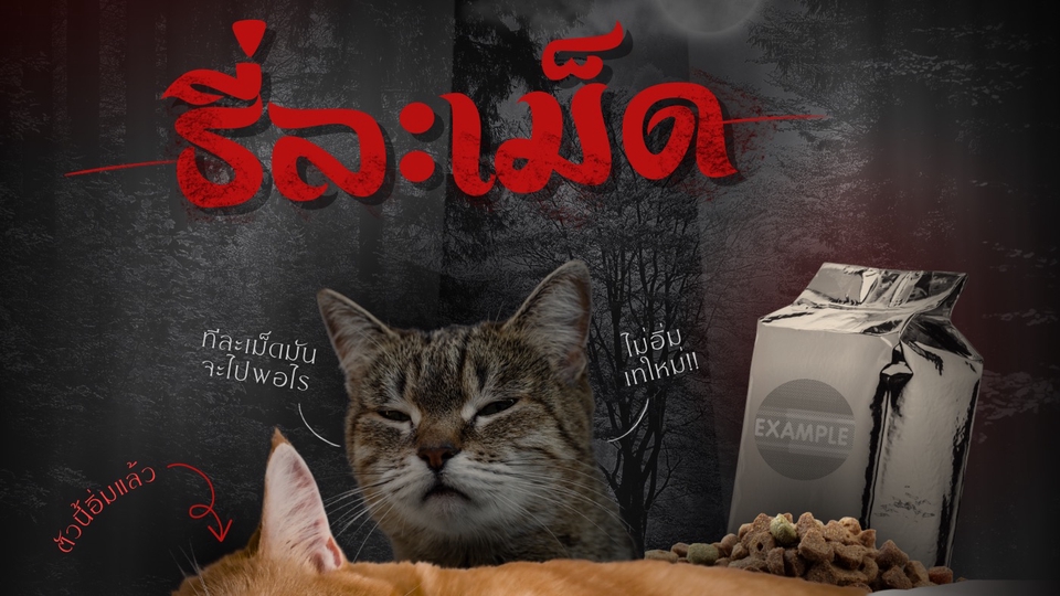 Banner โฆษณา - รับออกแบบ Banner โฆษณากระตุ้นยอดขาย - 1