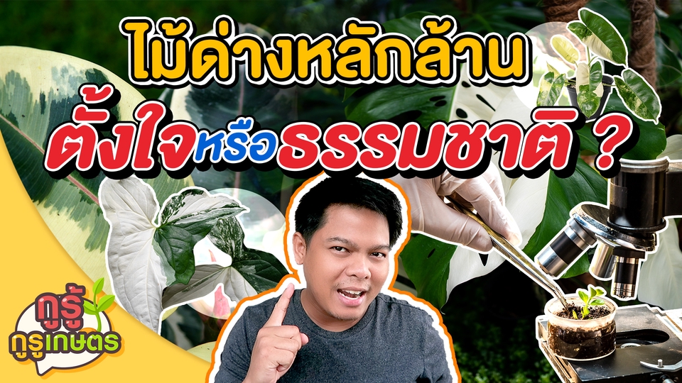 Banner โฆษณา - Banner / Online Content / ADs / อื่นๆ - 19