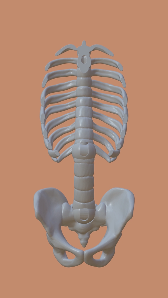 3D & Perspektif - 3d sculpt modeling SHF FIGMA NENDOROID - 9