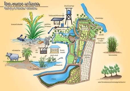 ออกแบบตกแต่งภายในและภายนอก - ออกแบบบ้านสวนเกษตร // ทำแบบก่อสร้าง BIM , As-built , BOQ - 11