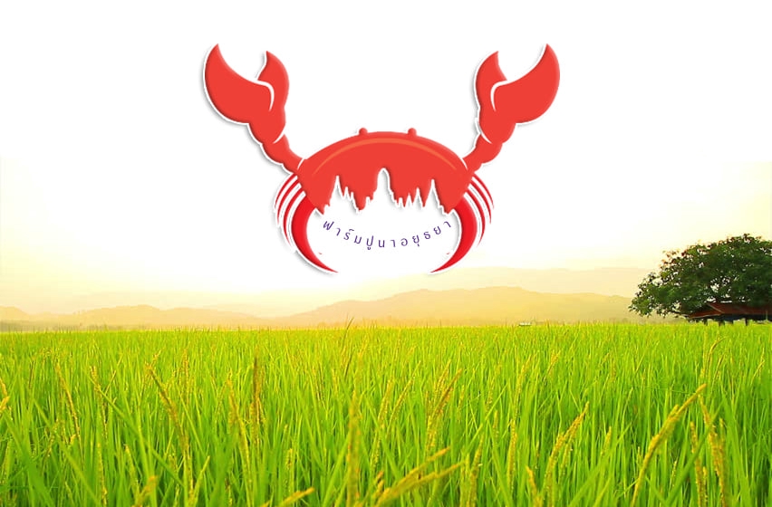 Logo - รับออกแบบโลโก้บริษัท แบรนด์สินค้า ร้านค้า องค์กร อื่นๆ - 29