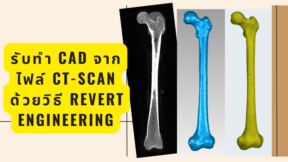 ทำโมเดล 3D - รับทำ CAD จากไฟล์ CT-scan ด้วยวิธี Revert Engineering - 1