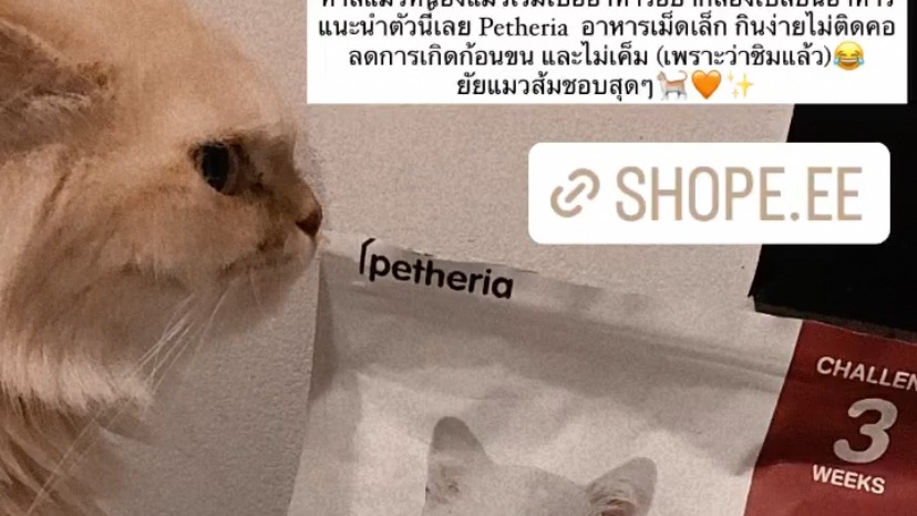 เน็ตไอดอลและบล็อกเกอร์รีวิว - รับงานรีวิวสินค้า ตัดต่อ พาทย์เสียง เขียนรีวิวในเว็บ - 6