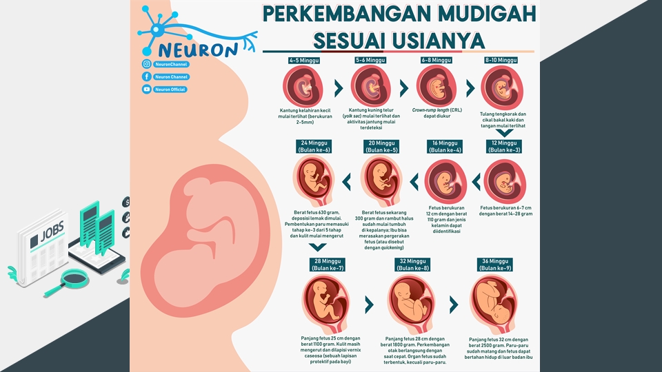 Infografis - Desain Poster Infografis Modern & Simple Cepat Jadi (Cocok Untuk Tugas Akhir & Tugas Kuliah) - - 13