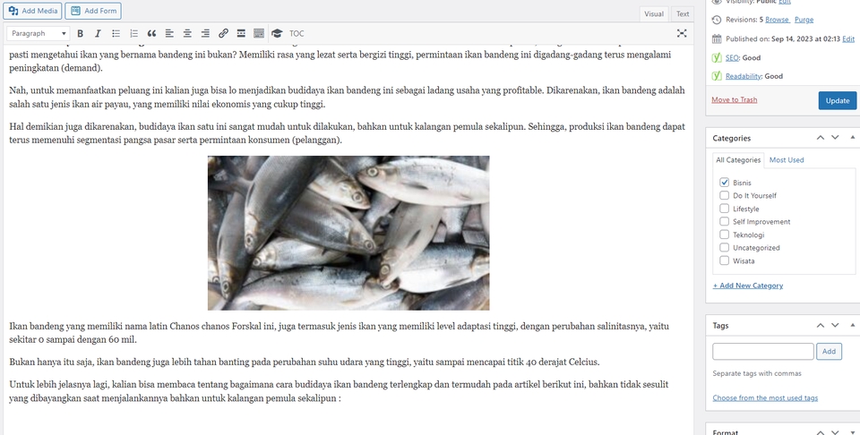 Jasa penulis artikel freelance - Gambar ikan segar untuk meningkatkan SEO website.