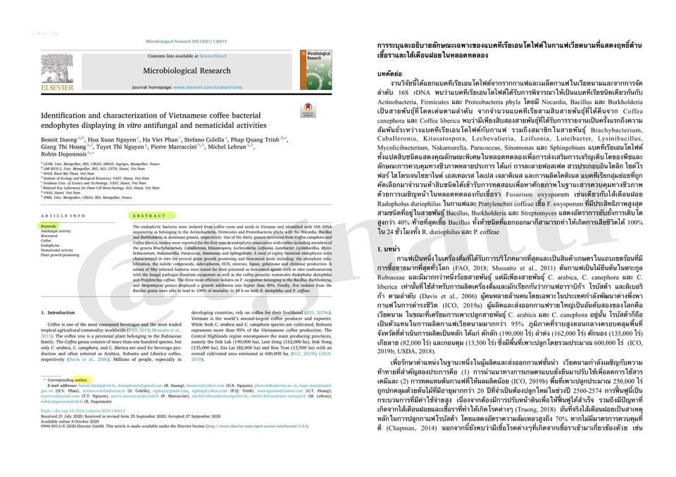 แปลภาษา - รับแปลภาษาไทย อังกฤษ เยอรมัน - 2