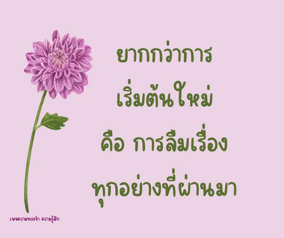 Banner โฆษณา - รับเขียนคำกลอน ข้อความ พร้อมรูปประกอบทุกแนว - 3