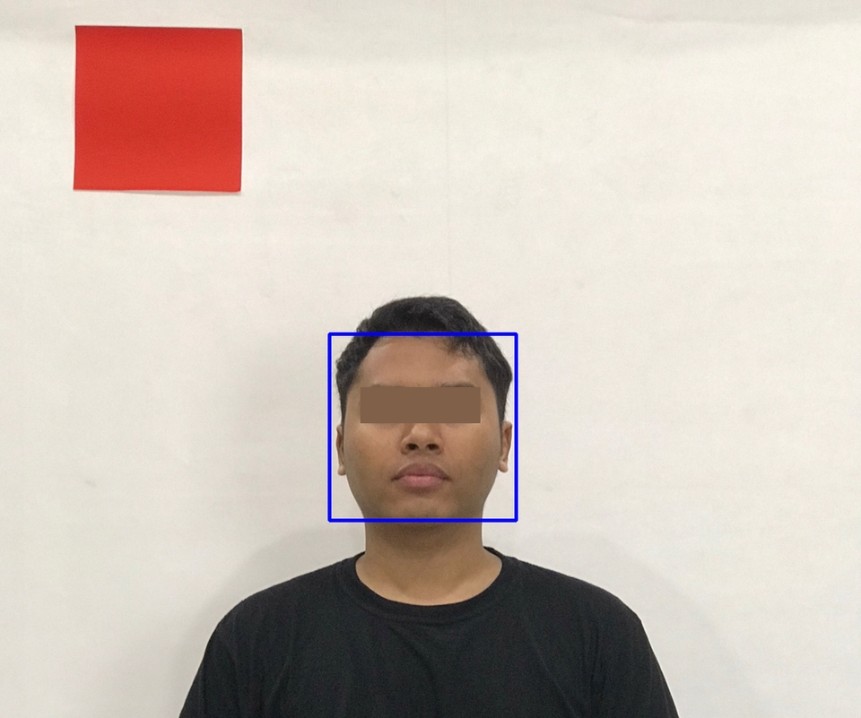 Jasa Lainnya - Machine Learning/Deep Learning untuk Object Detection, Klasifikasi Objek, dan Sejenisnya (Python) - 2