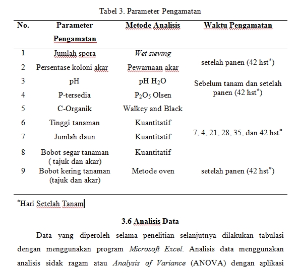 Pengetikan Umum - Pengetikan dokumen. Cepat dan tepat - 5