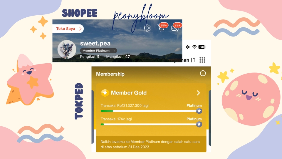 Memberi Review - Jasa Review Google Maps dan Marketplace (Akun: Shopee Platinum, Tokopedia Gold, GMaps Local Guide) - 4
