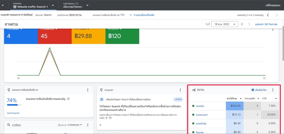 Wordpress - landing หลบ Bot Google Ads - 2