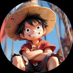 fery511