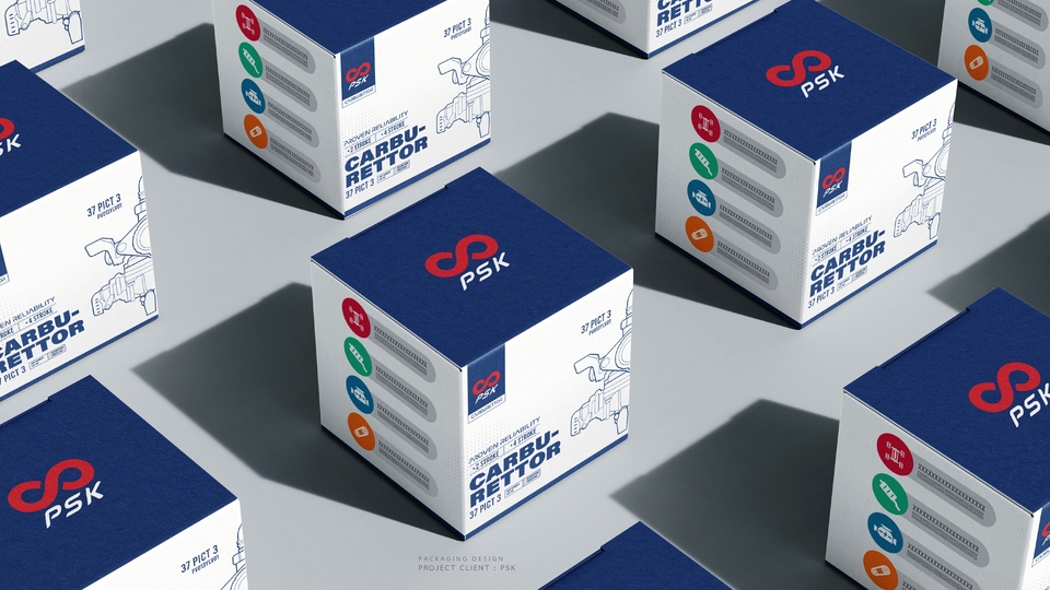 ออกแบบบรรจุภัณฑ์ กล่องผลิตภัณฑ์อาหารเสริม พิมพ์โลโก้ บรรจุภัณฑ์สวย